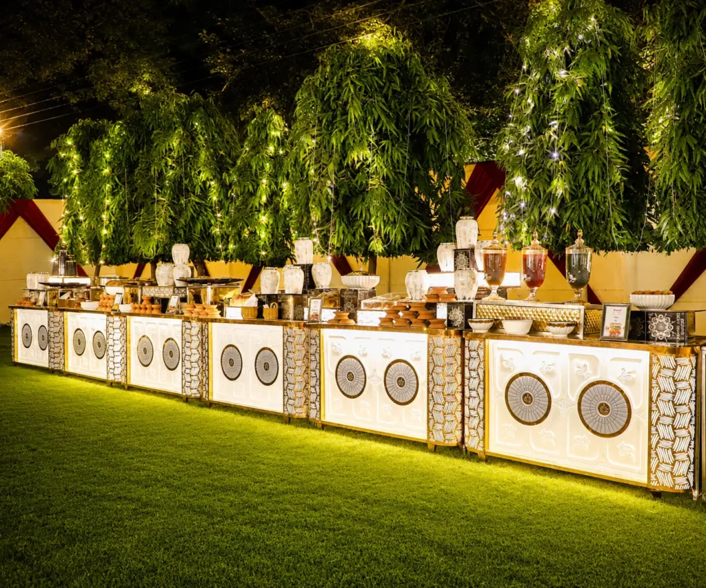 Live chaat station by Mehar Caterers Delhi